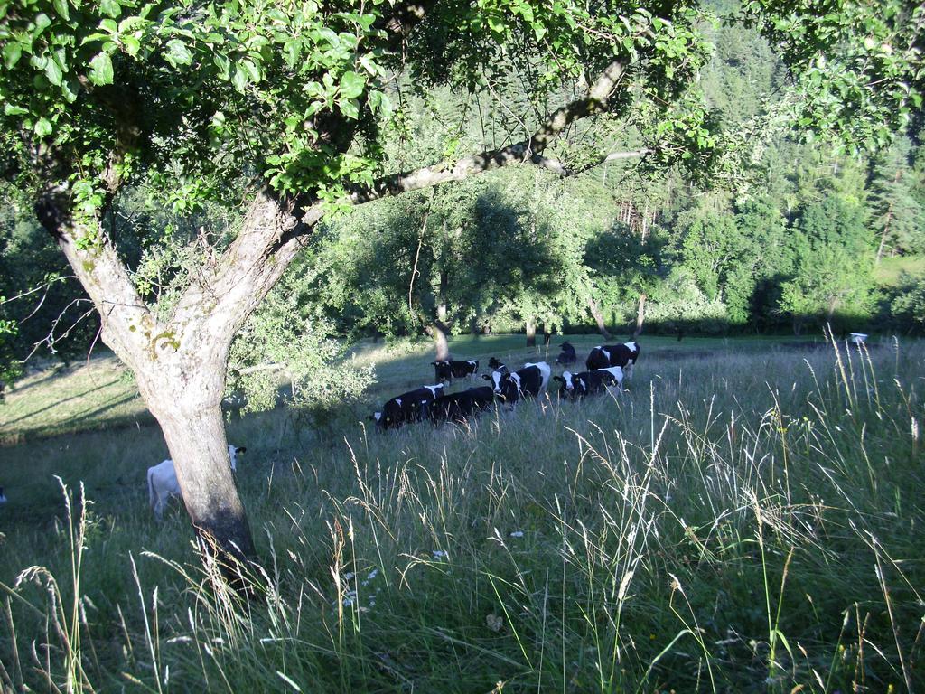 Farm Stay Zagar Mozirje Exterior photo