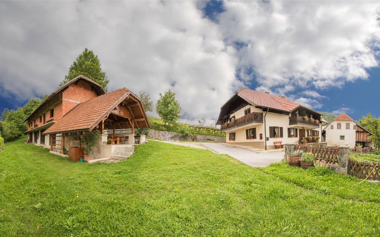 Farm Stay Zagar Mozirje Exterior photo