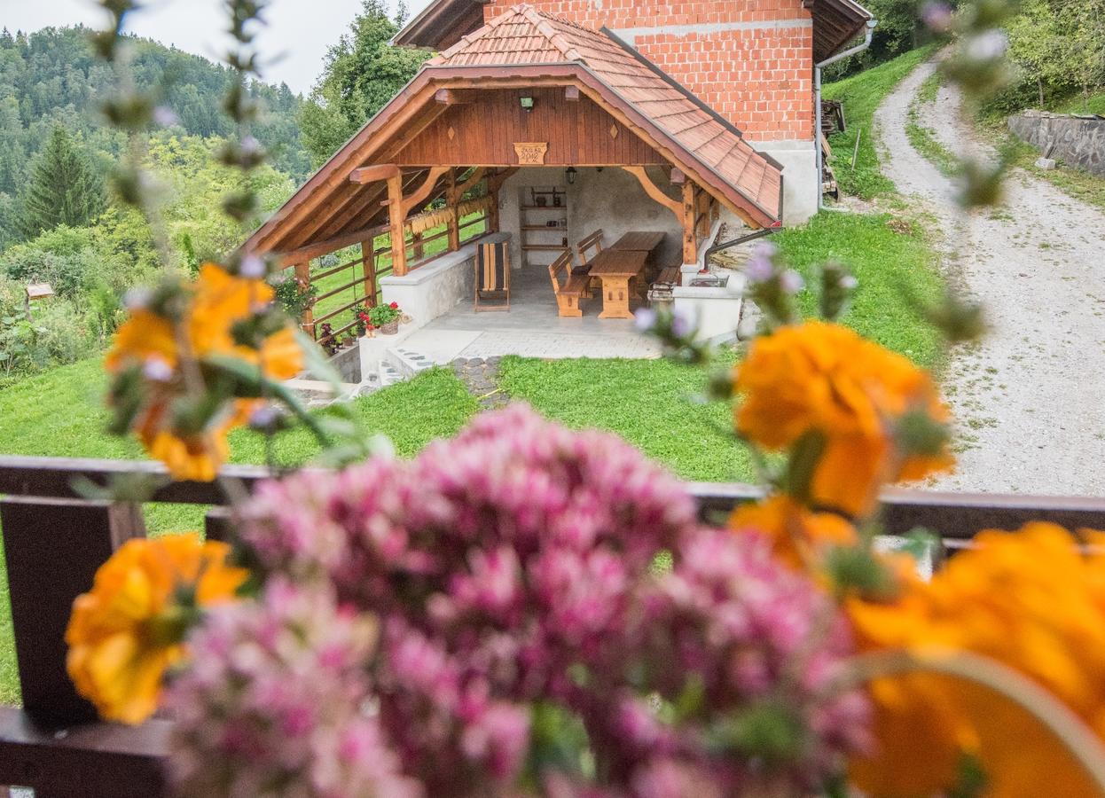 Farm Stay Zagar Mozirje Exterior photo